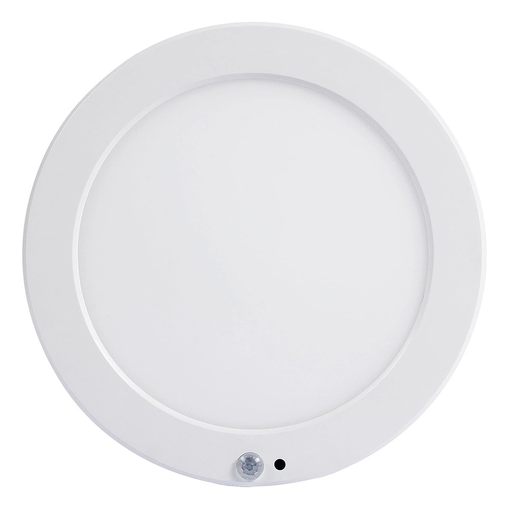 Multi-functional panel light