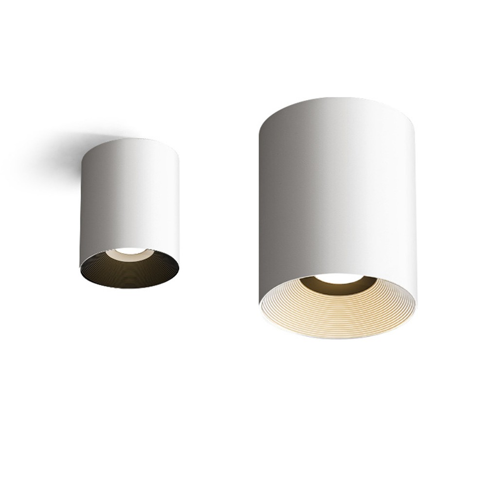 BDL Downlight
